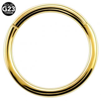 14g G23 Gold Titanium Hinged Segment Clicker Ring Nipple Ear Cartilage Eyebrpw Lip Piercing