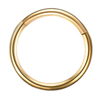 16g G23 Gold Titanium Hinged Segment Clicker Ring Nipple Ear Cartilage Eyebrow Lip Piercing